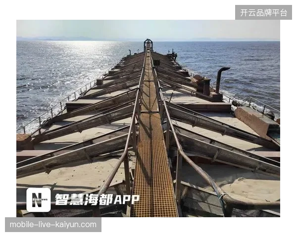 全球赛事数据库遭非法抓取比例在2026年6月前缩减了近四成